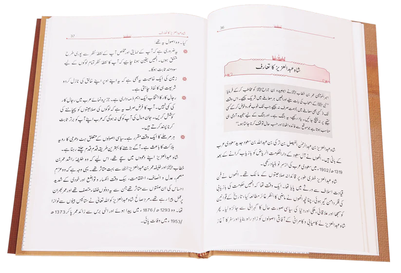 15 Rahnuma Asool - Image 2