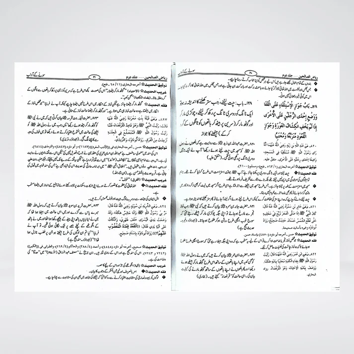 Riyaz us Saliheen (2 Volume Set) - Image 4